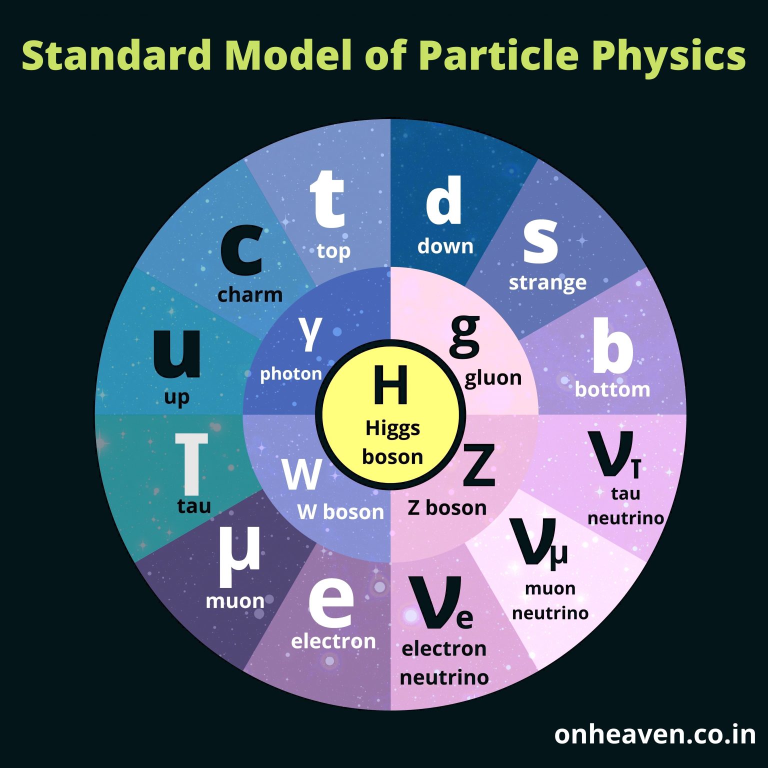 standard model particles
