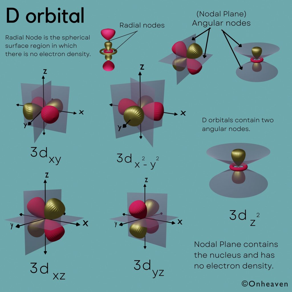 D-orbital