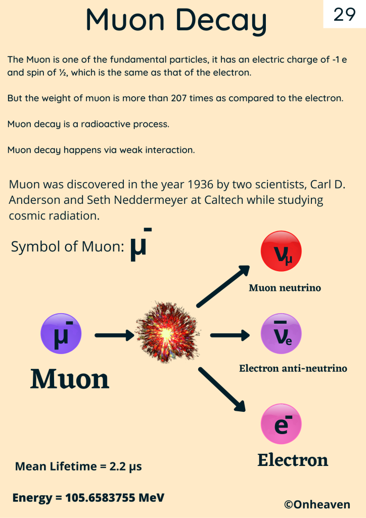 What is Muon Decay