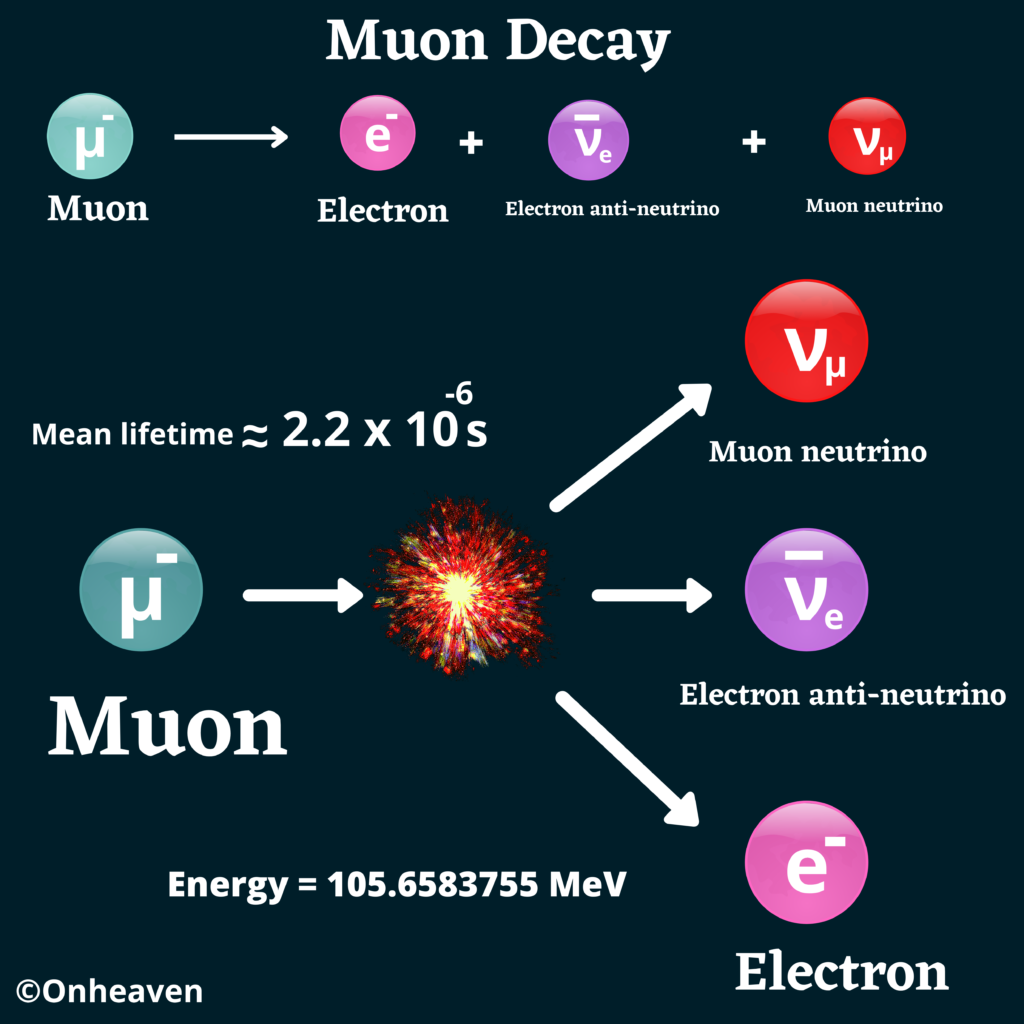 Muon Decay